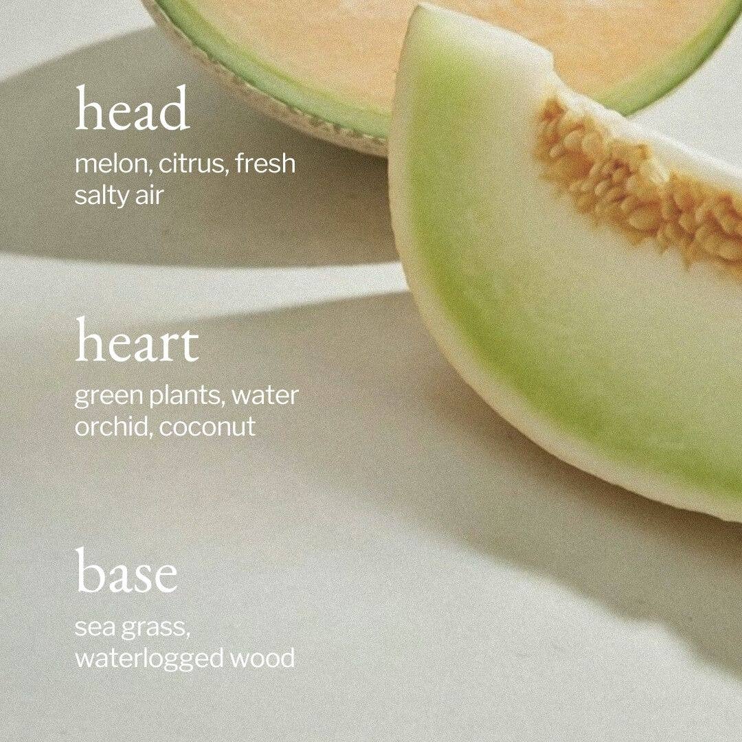 Liquid Dish Soap | Melon + Salty Air