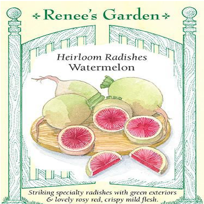 RADISH WATERMELON