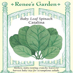 SPINACH CATALINA BABY LEAF