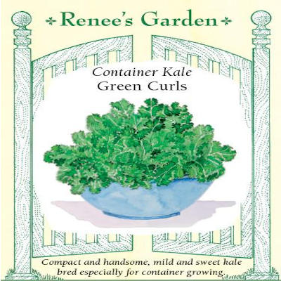 KALE CONTAINER GREEN CURLS