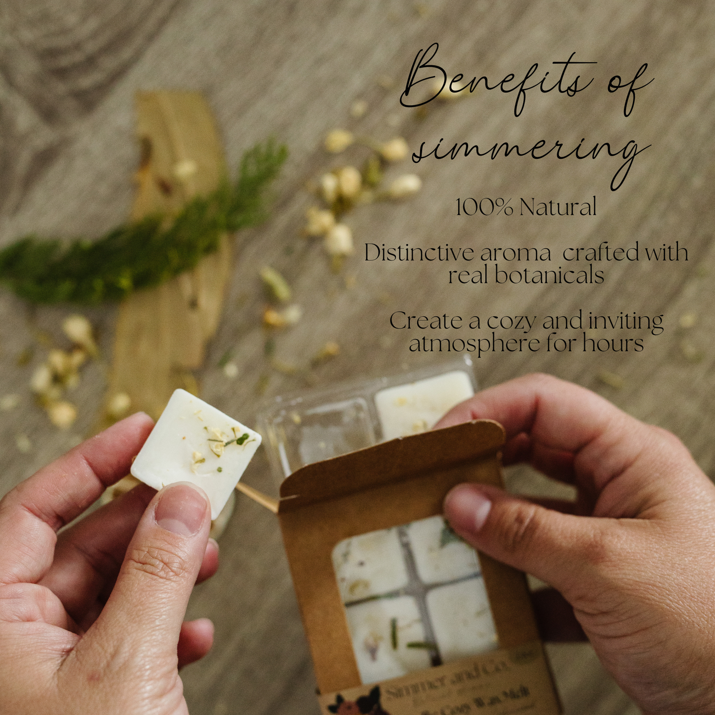 Be Cozy Simmer Wax Melt, Natural Jasmine Spice Botanical Wax Cubes