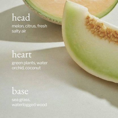 Liquid Dish Soap | Melon + Salty Air