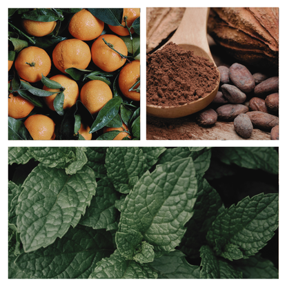 Be Festive Simmer Melt, Natural Peppermint Cocoa Botanical Wax Cubes