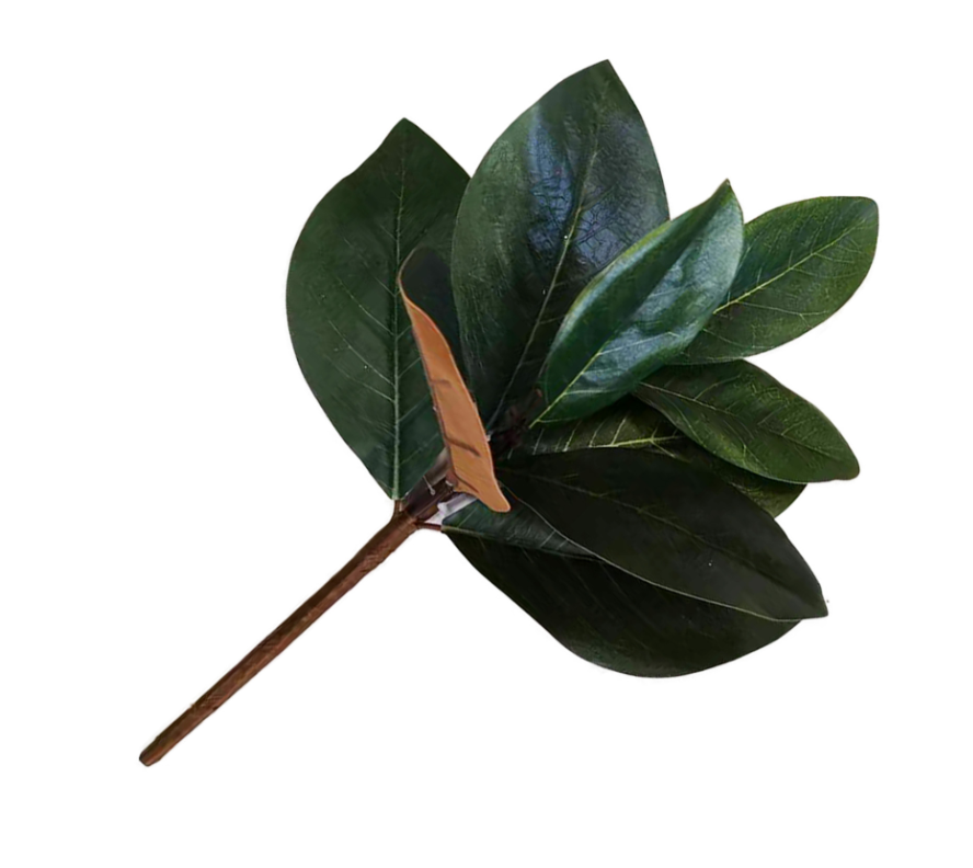 Magnolia Leaf Spray