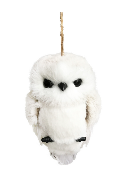 White Fur Owl on Branch