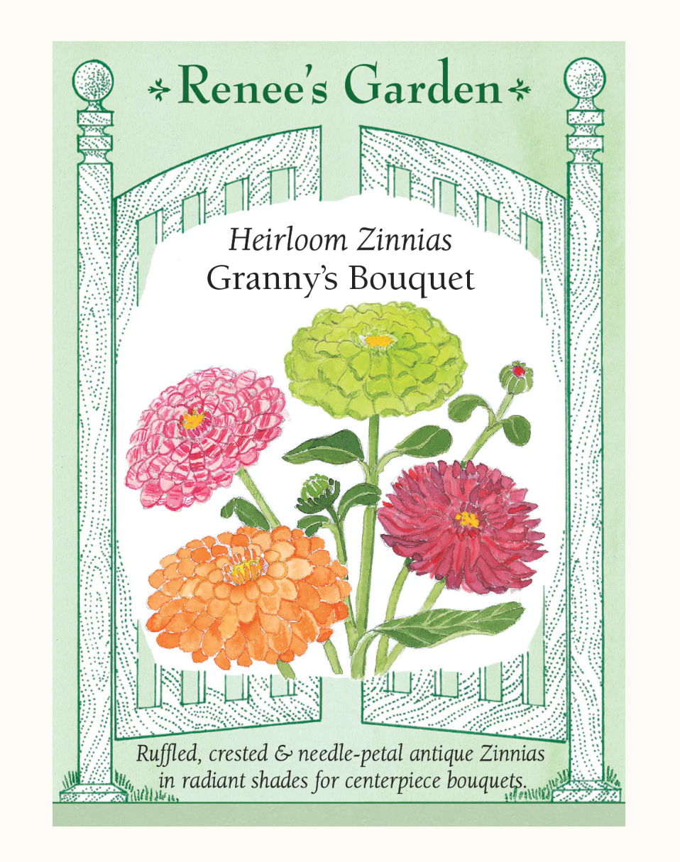 ZINNIA GRANNY'S BOUQUET