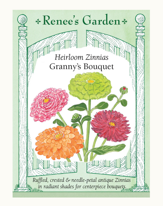 ZINNIA GRANNY'S BOUQUET