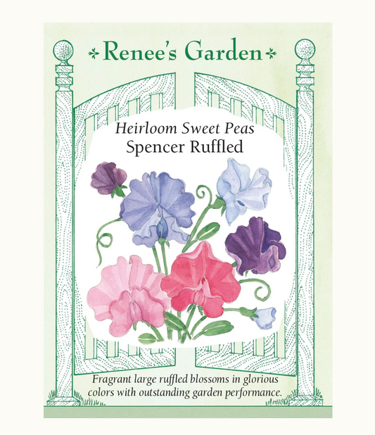 SWEET PEA SPENCER RUFFLED