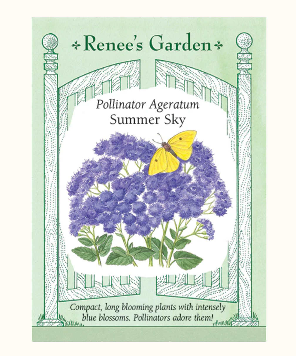 AGERATUM SUMMER SKY