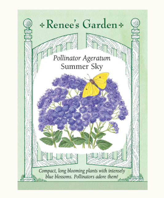 AGERATUM SUMMER SKY