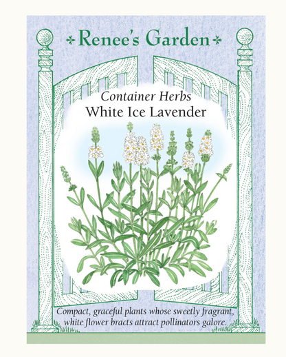 LAVENDER WHITE ICE CONTAINER