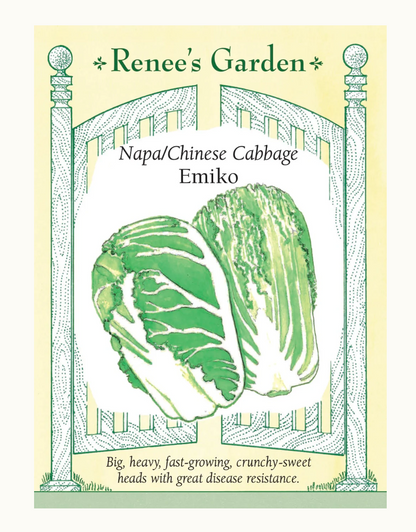 CABBAGE NAPA EMIKO