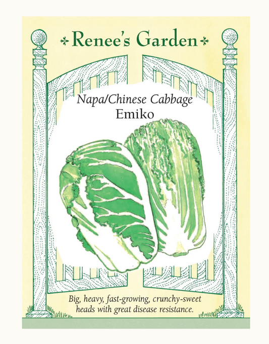 CABBAGE NAPA EMIKO