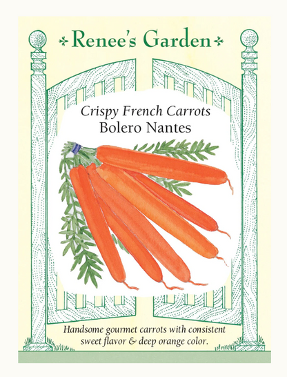 Carrot French Nantes Bolero