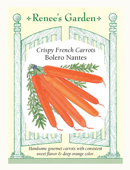 Carrot French Nantes Bolero