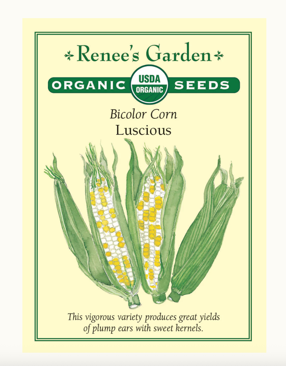 Corn Luscious Bicolour Organic