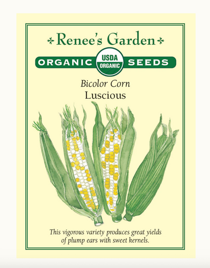 Corn Luscious Bicolour Organic