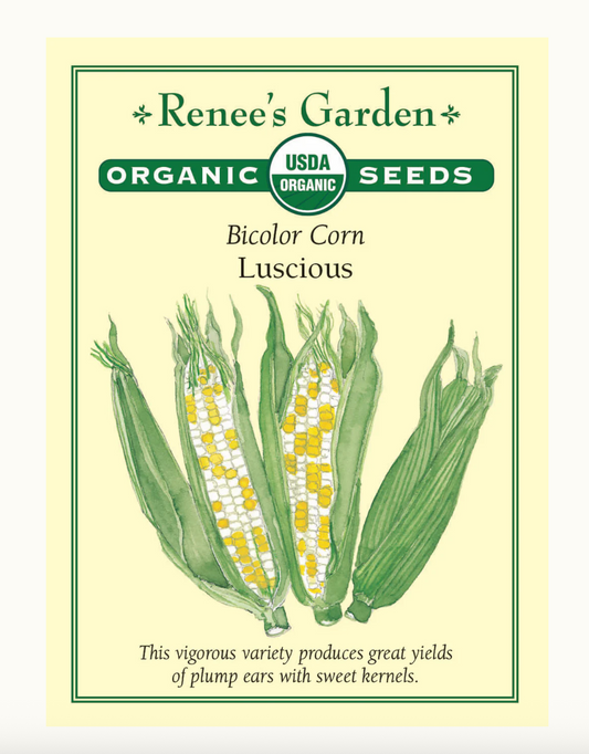 Corn Luscious Bicolour Organic