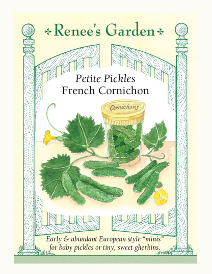 PETITE PICKLES FRENCH CORNICHON