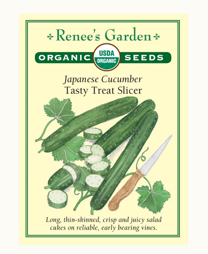 CUCUMBER TASTY TREAT ORGANIC