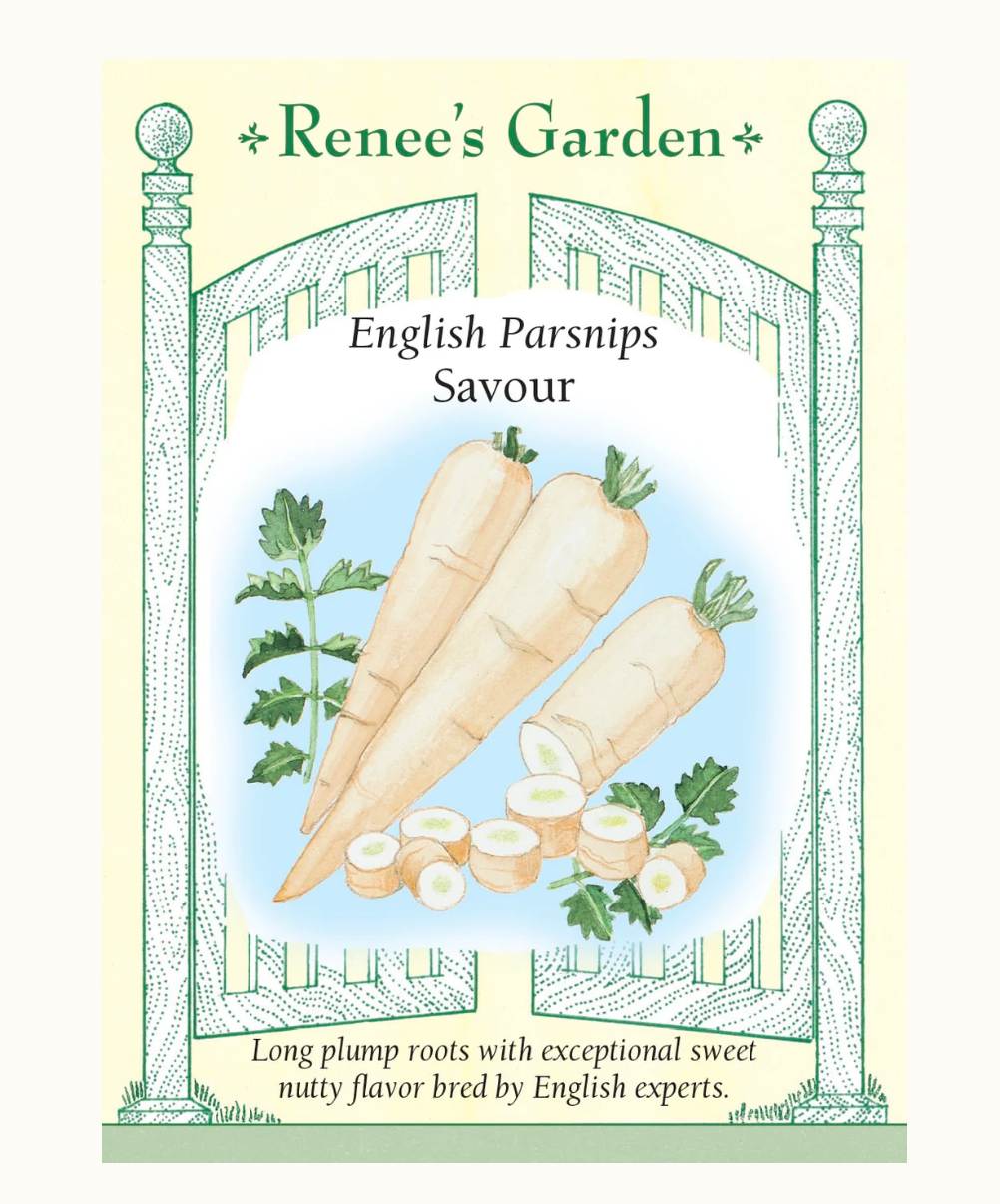 Parsnip Savour