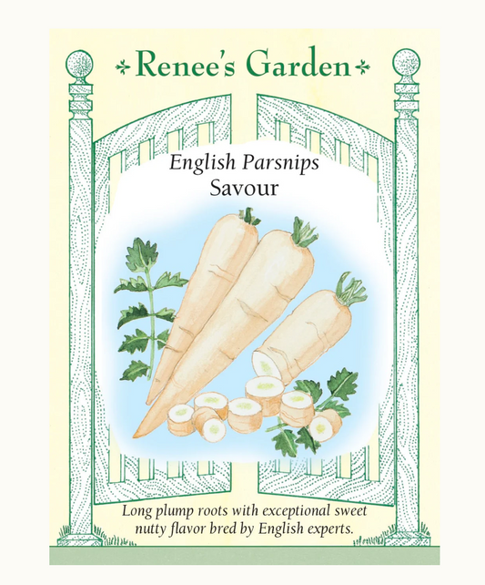 Parsnip Savour