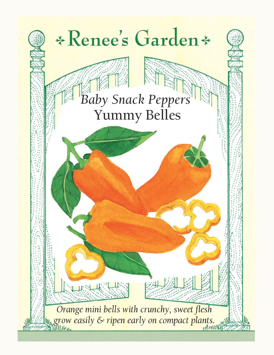 Pepper Sweet Yummy Belles