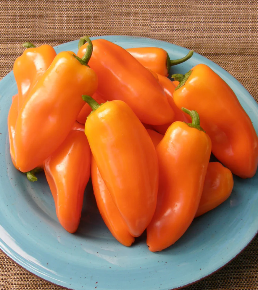 Pepper Sweet Yummy Belles
