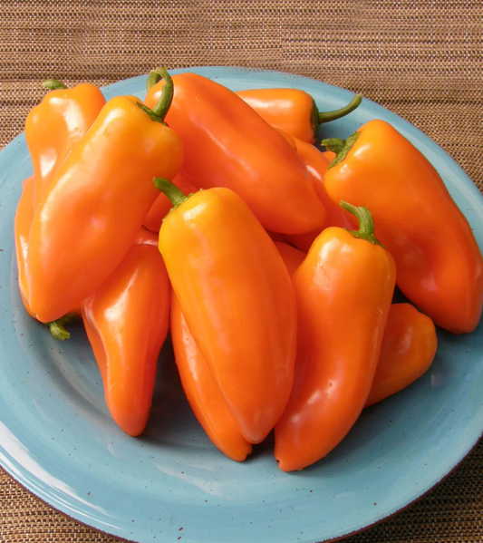 Pepper Sweet Yummy Belles