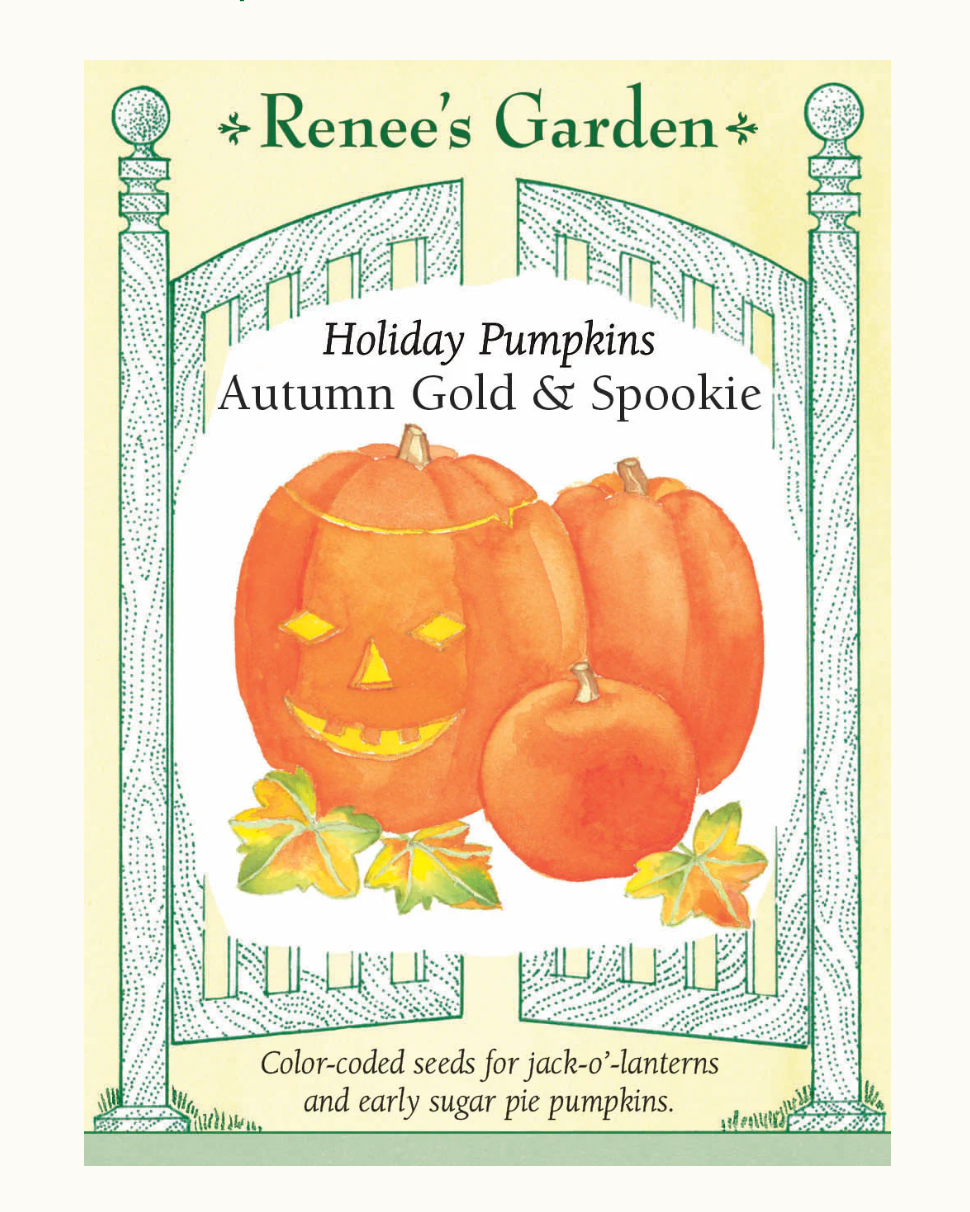 Pumpkin Autumn Gold & Spookie Mix