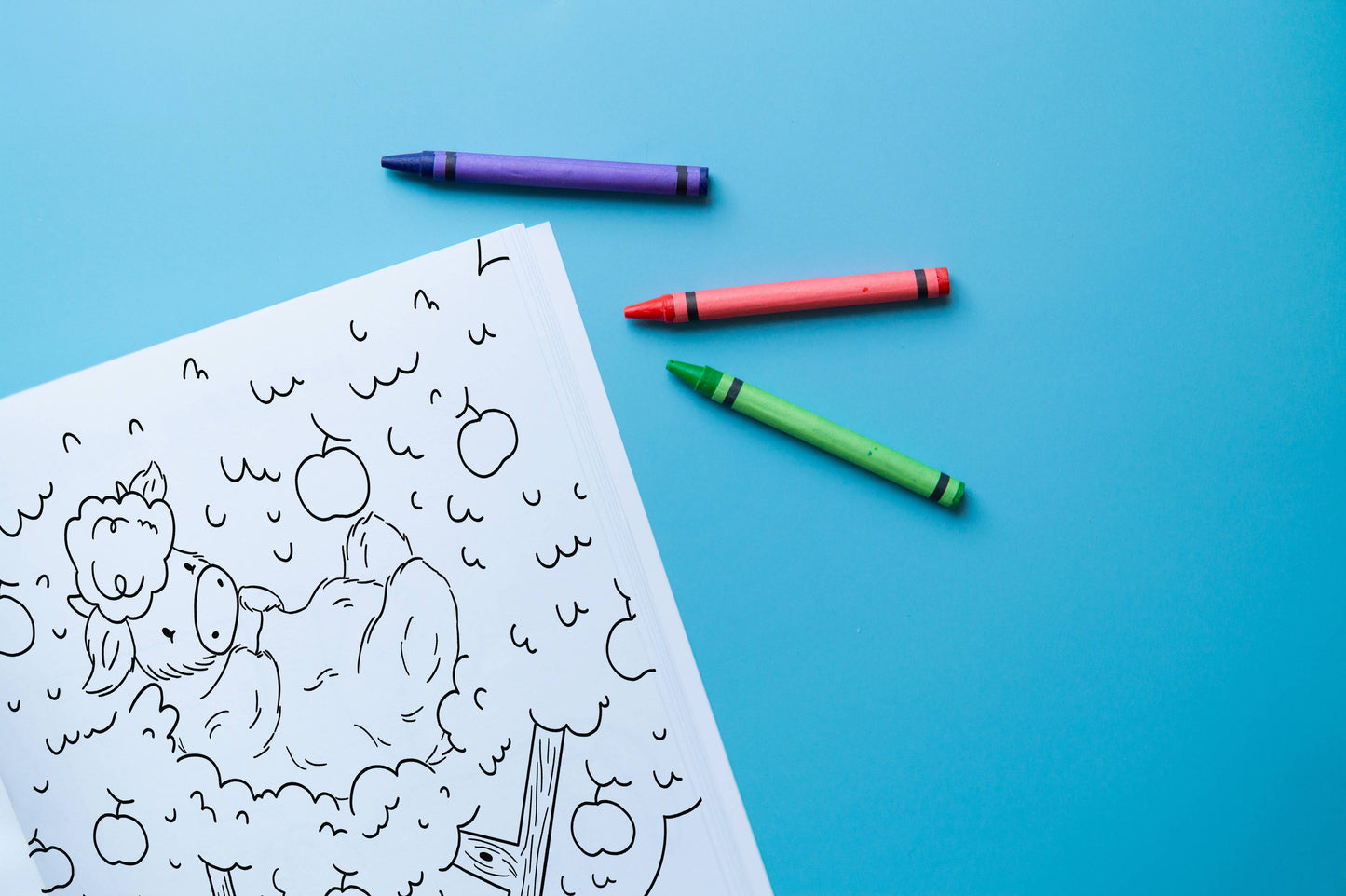 Missy Moo and Friends | Colouring Book