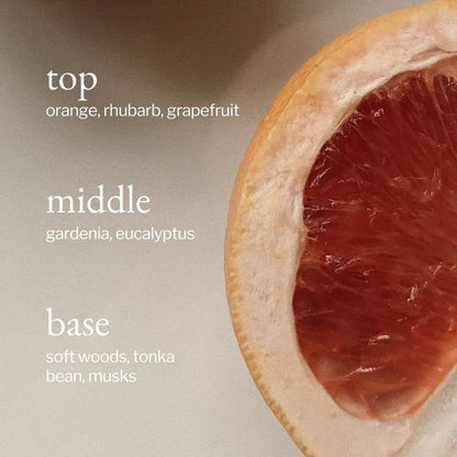 Liquid Dish Soap | Eucalyptus + Grapefruit