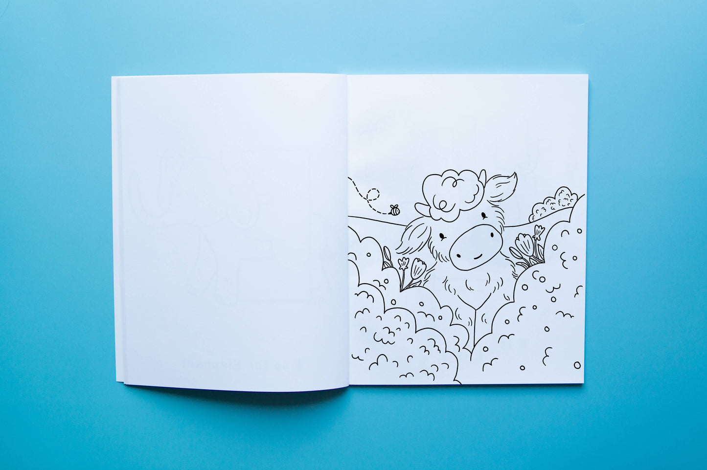 Missy Moo and Friends | Colouring Book