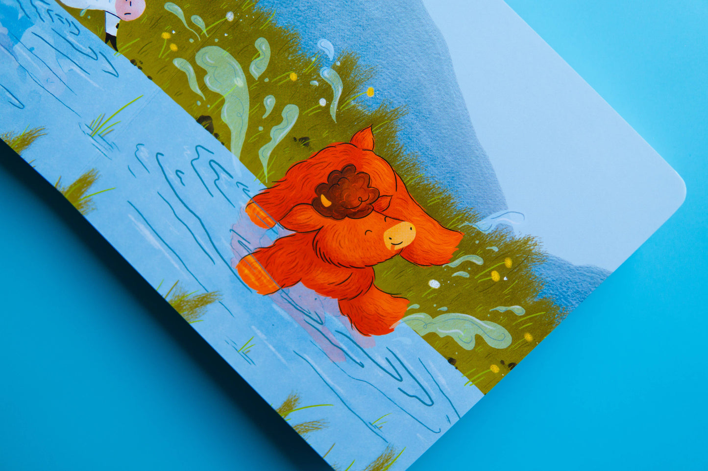 Missy Moo the Highland Coo Board Book