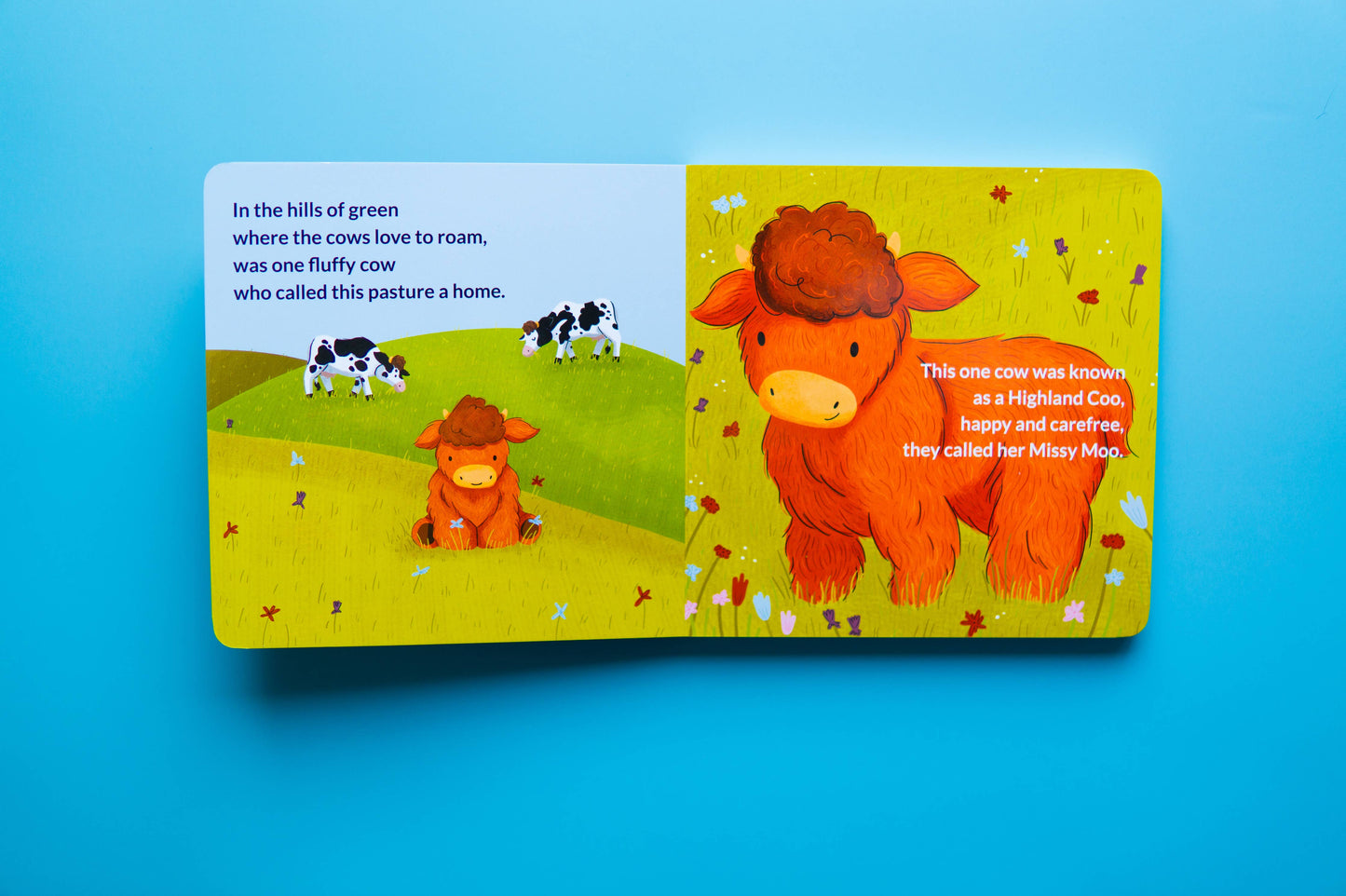 Missy Moo the Highland Coo Board Book