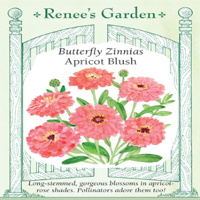 APRICOT BLUSH ZINNIA