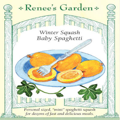 WINTER SQUASH BABY SPAGHETTI