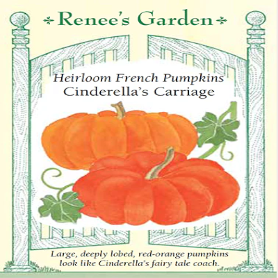 CINDERELLA'S CARRIAGE FRENCH PUMPKINS