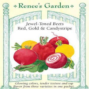 JEWEL-TONED BEETS RED, GOLD AND CANDYSTRIPE