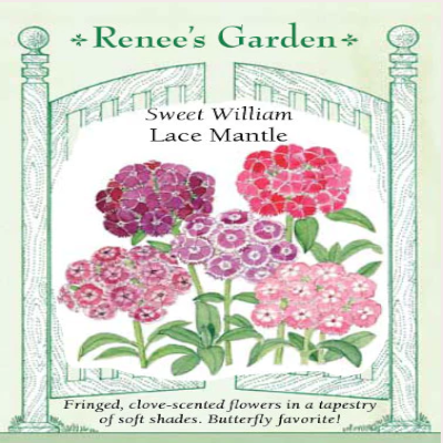 SWEET WILLIAM LACE MANTLE