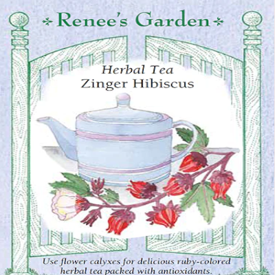 ZINGER HIBISCUS HERBAL TEA