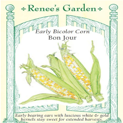 Corn Bon Jour Bi-Color