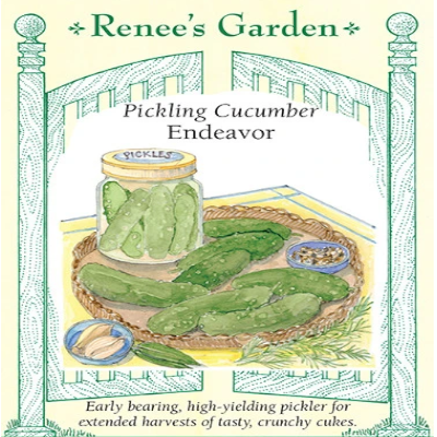 Cucumber Pickling Endeavor