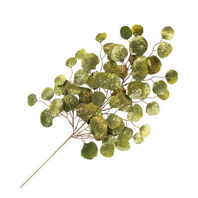 Green Eucalyptus Spray