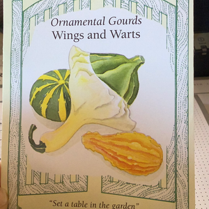 Ornamental Gourds Wings and Warts