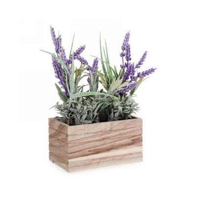 Lavender in Wooden Crate