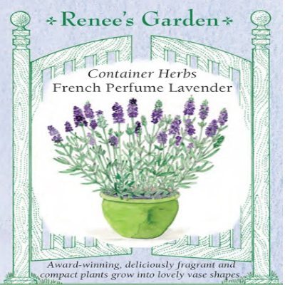 Lavender Container Perfume