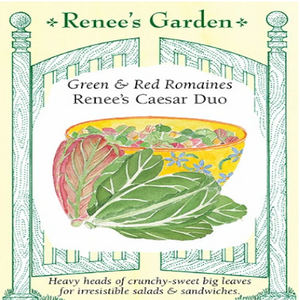Lettuce Romaine Caesar Duo