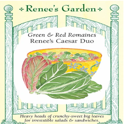 Lettuce Romaine Caesar Duo
