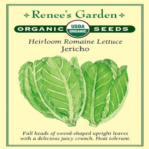 Lettuce Romaine Jericho ORGANIC